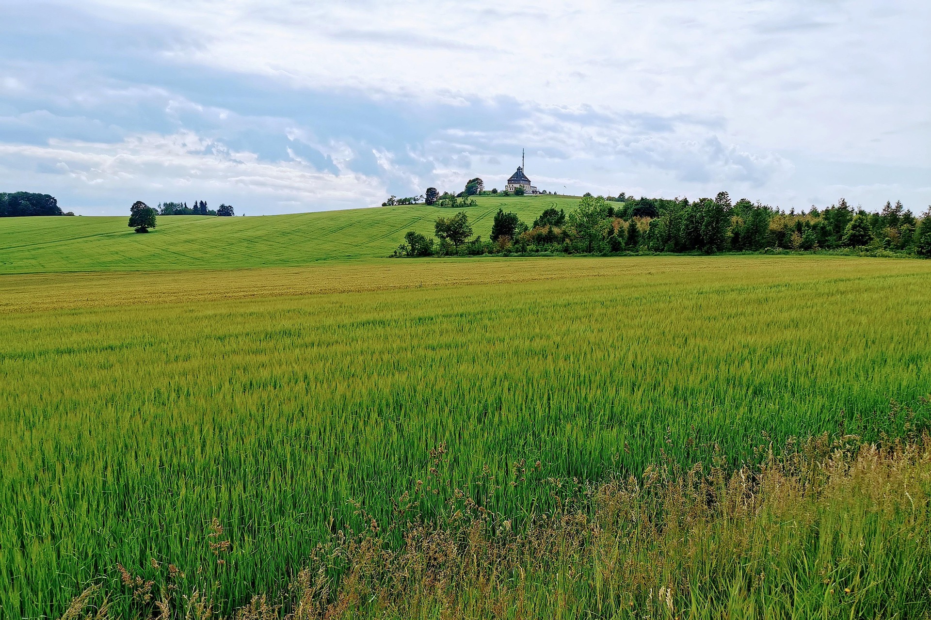 ภาพประกาศ
